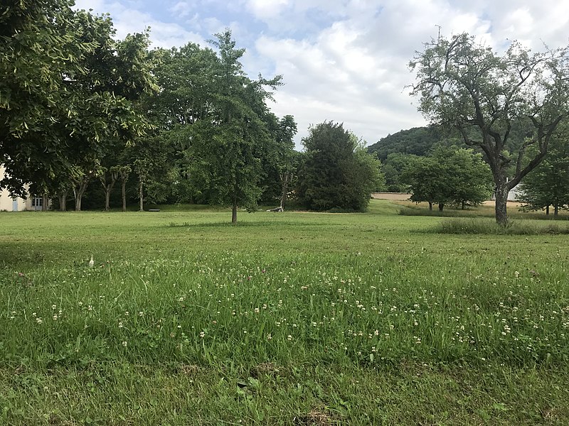 File:Le parc de La Sathonette (Saint-Maurice-de-Beynost) en mai 2018.JPG