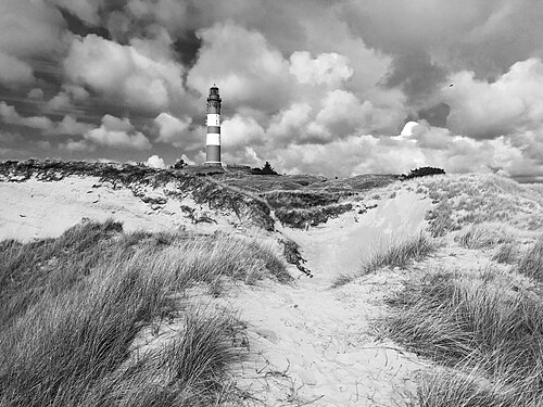 Lighthouse Amrum‎