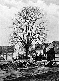 Lohfelden-vollmarshausen-1910