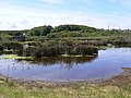 Lower Moors pool, St Mary's Scilly - geograph.org.uk - 2598481.jpg