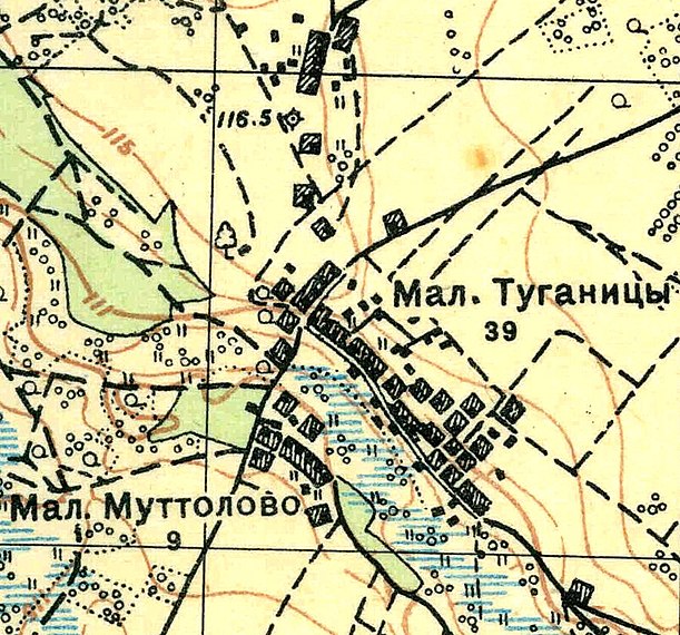 План деревни Малые Туганицы. 1931 год