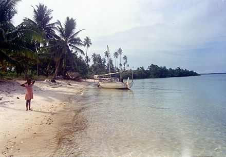 A beach on the island