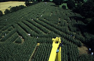 A photograph above a corn field, which has been grown with etchings for people to wander in.