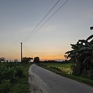 <span class="mw-page-title-main">Maral gaon</span> Village in Assam, India