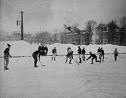 Ishockey: Historia, Ishockeyns regelböcker, Spelfält