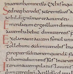 Karolingisk minuskelskrift