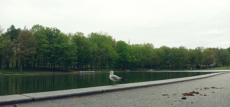 File:Mont royal Montreal.jpg