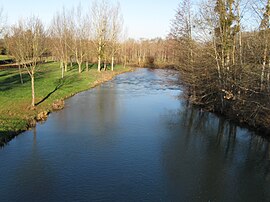 La Loing en Montcresson