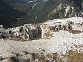 wikimedia_commons=File:Monte Piana 05.jpg