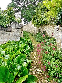 File:Most_beautiful_villages_montsoreau_2.jpg