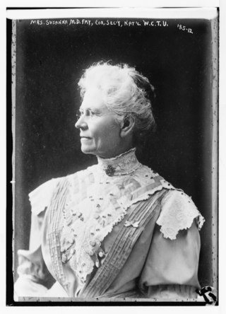 <span class="mw-page-title-main">Susanna M. D. Fry</span> American educator (1841–1920)