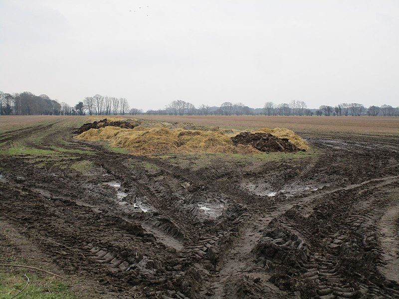 File:Muddy field entrance - geograph.org.uk - 4347284.jpg