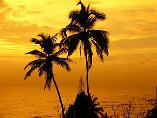 File:MumbaiClimate.jpg - Wikimedia Commons