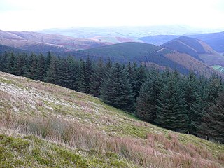 <span class="mw-page-title-main">Mynydd Gartheiniog</span> Mountain in southern Snowdonia, Wales