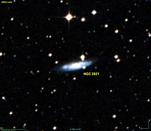 NGC 2821 DSS.jpg