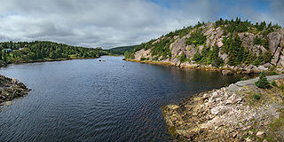 <span class="mw-page-title-main">Avondale, Newfoundland and Labrador</span> Town in Newfoundland and Labrador, Canada