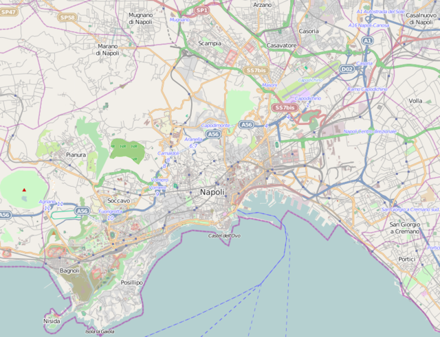 Mapa konturowa Neapolu, w centrum znajduje się punkt z opisem „Katedra Wniebowzięcia Najświętszej Maryi Panny”