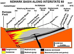The Newark Basin, an early Mesozoic half-graben Newark Basin Cross Section.jpg