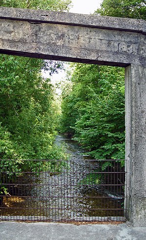 Triesting: Name, Verlauf, Wasserführung