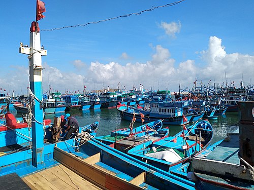 Ninh Hai boats