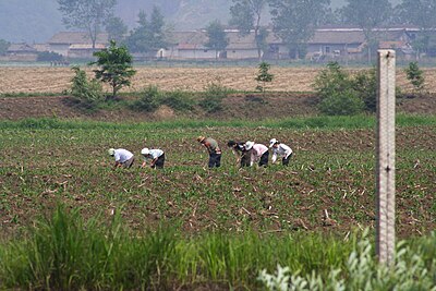 Agriculture in North Korea