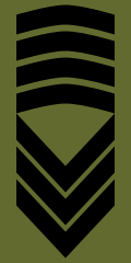 Sersjantmajor(Norwegian Army)[33]