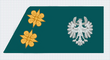 Oberleutnant der Standschützen von Tirol.png