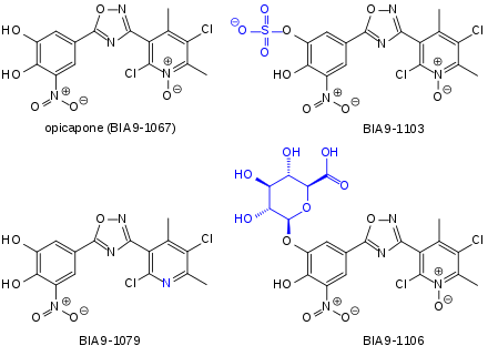Opicapone and some of its metabolites: the main inactive metabolite opicapone sulfate (BIA 9-1103), the active reduced derivative (BIA 9-1079), and the inactive glucuronide (BIA 9-1106). Opicapone metabolites.svg