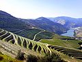 Pogled na rijeku Douro s terasasastim vinogradima