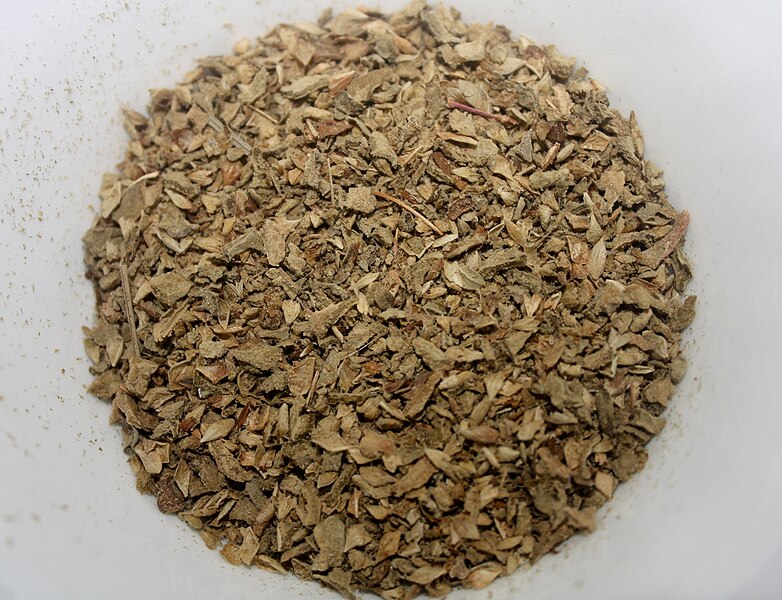 File:Oregano (অরেগানো).JPG