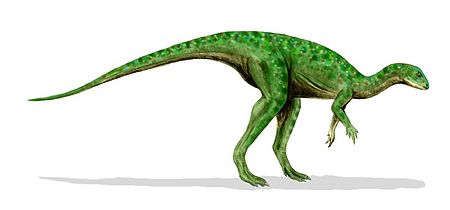 Tập_tin:Othnielosaurus_BW.jpg