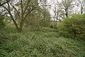 Čeština: Celkový pohled na přírodní památku Libuňka, okr. Semily. English: Overview of nature monument Libuňka, Semily District.