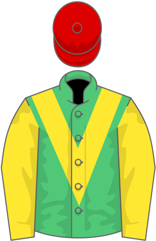 <span class="mw-page-title-main">Sizing John</span> British-bred Thoroughbred racehorse