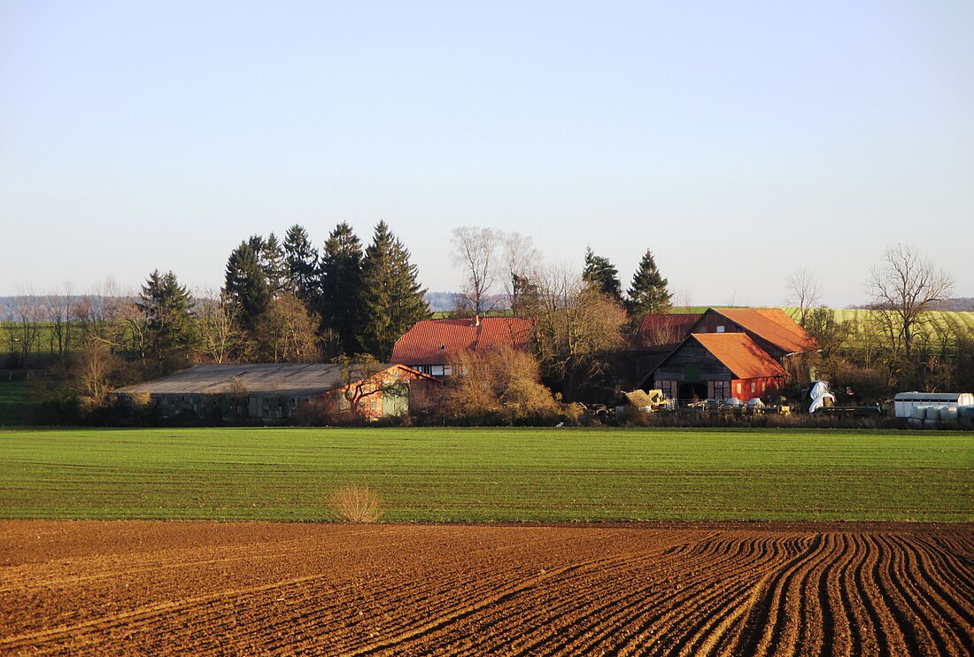 Pöbbeckenmühle (Langelsheim)