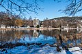 * Nomination Reeds at the lakeside of the Wörther See on the peninsula promenade, Pörtschach, Carinthia, Austria -- Johann Jaritz 03:03, 7 February 2023 (UTC) * Promotion  Support Good quality. --XRay 03:38, 7 February 2023 (UTC)