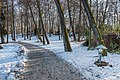 English: Winterly promenade Deutsch: Winterliche Promenade