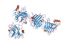 PDB 1r1z EBI.jpg