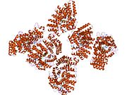 PDB 1tnu EBI.jpg