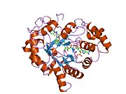 PDB 2hvn EBI.jpg