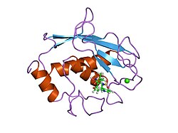 PDB 3ayk EBI.jpg