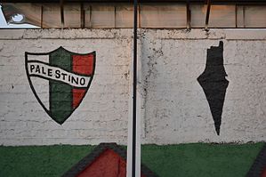 Club Deportivo Palestino: Historia, Estadio, Rivalidades