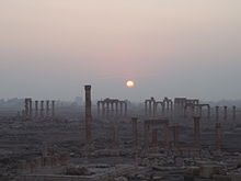 Palmyra sunrise.jpg