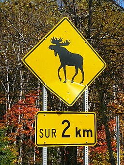 Panneau Caribou au Québec