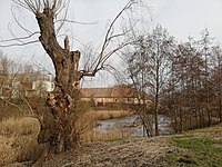 Pohled od západu, v pozadí Jinonický zámek (únor 2021)