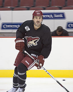 Paul Bissonnette Canadian ice hockey player