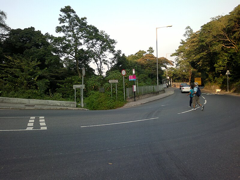 File:Peak Road near Wan Chai Gap Road.jpg