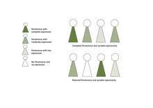 Illustration of different degrees of penetrance and variable expressivity PenetranceVE.pdf