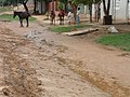 Una calle inundada y unos niños con caballos en las afueras de Montero