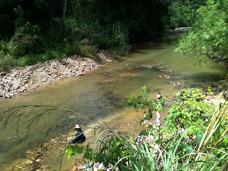 File:Phukhao Thong, Sukhirin District, Narathiwat 96190, Thailand - panoramio.jpg