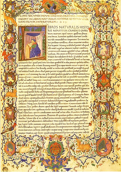 File:Pliny the Elder, Natural History, Florence, Plut. 82.4.jpg